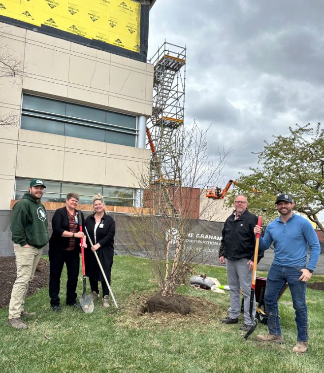 Tree planting