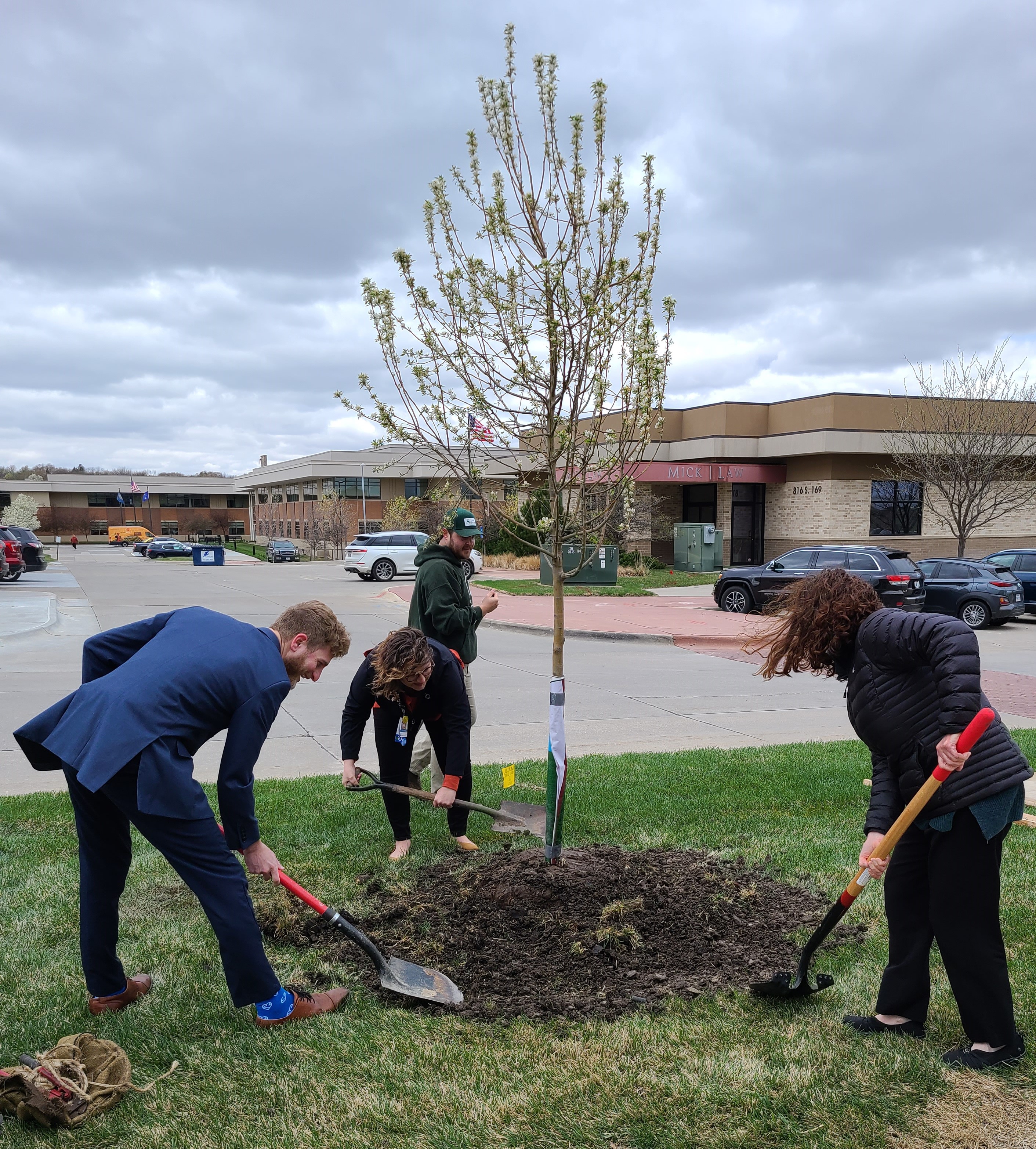 Tree planting