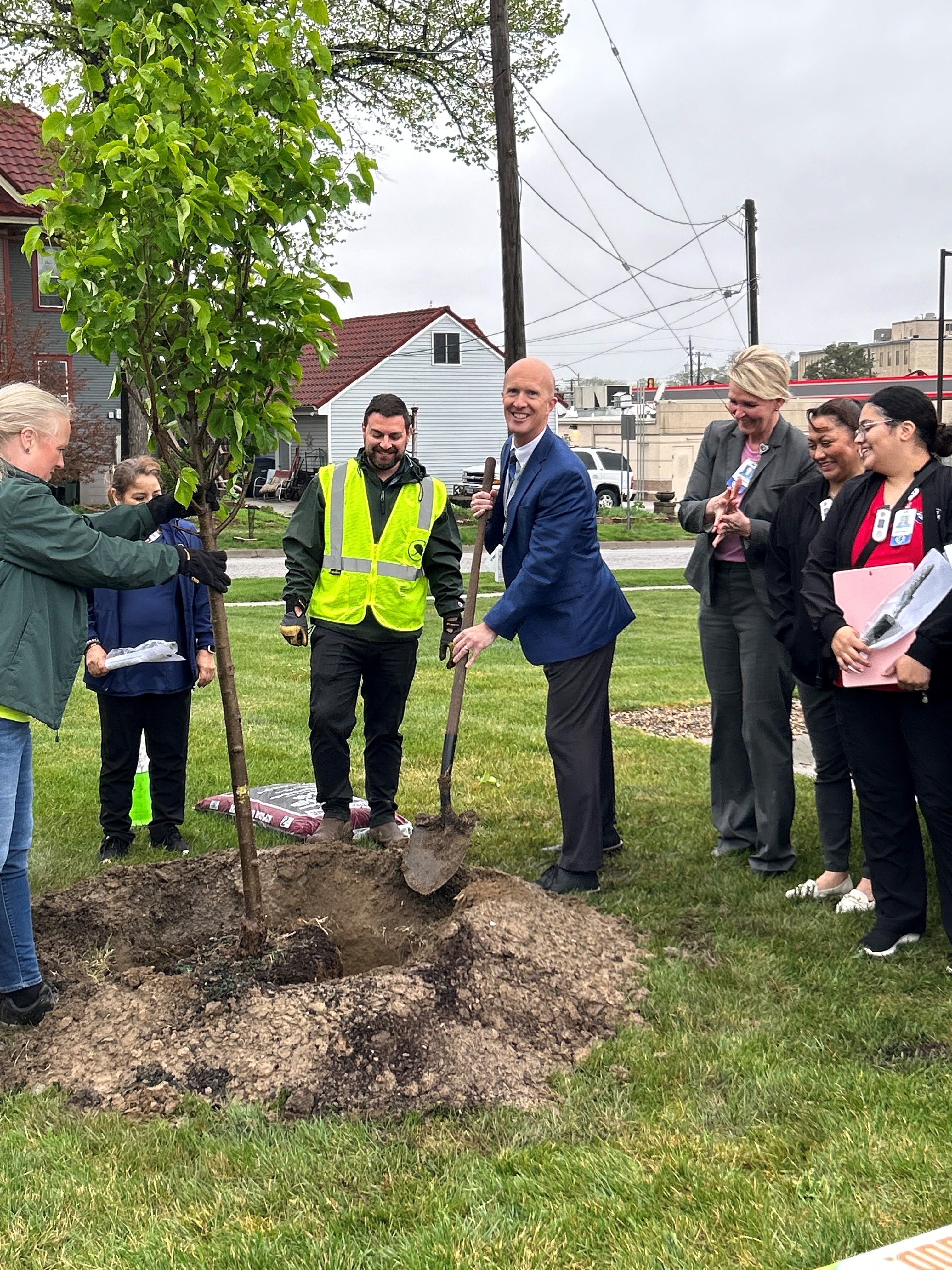 Tree planting